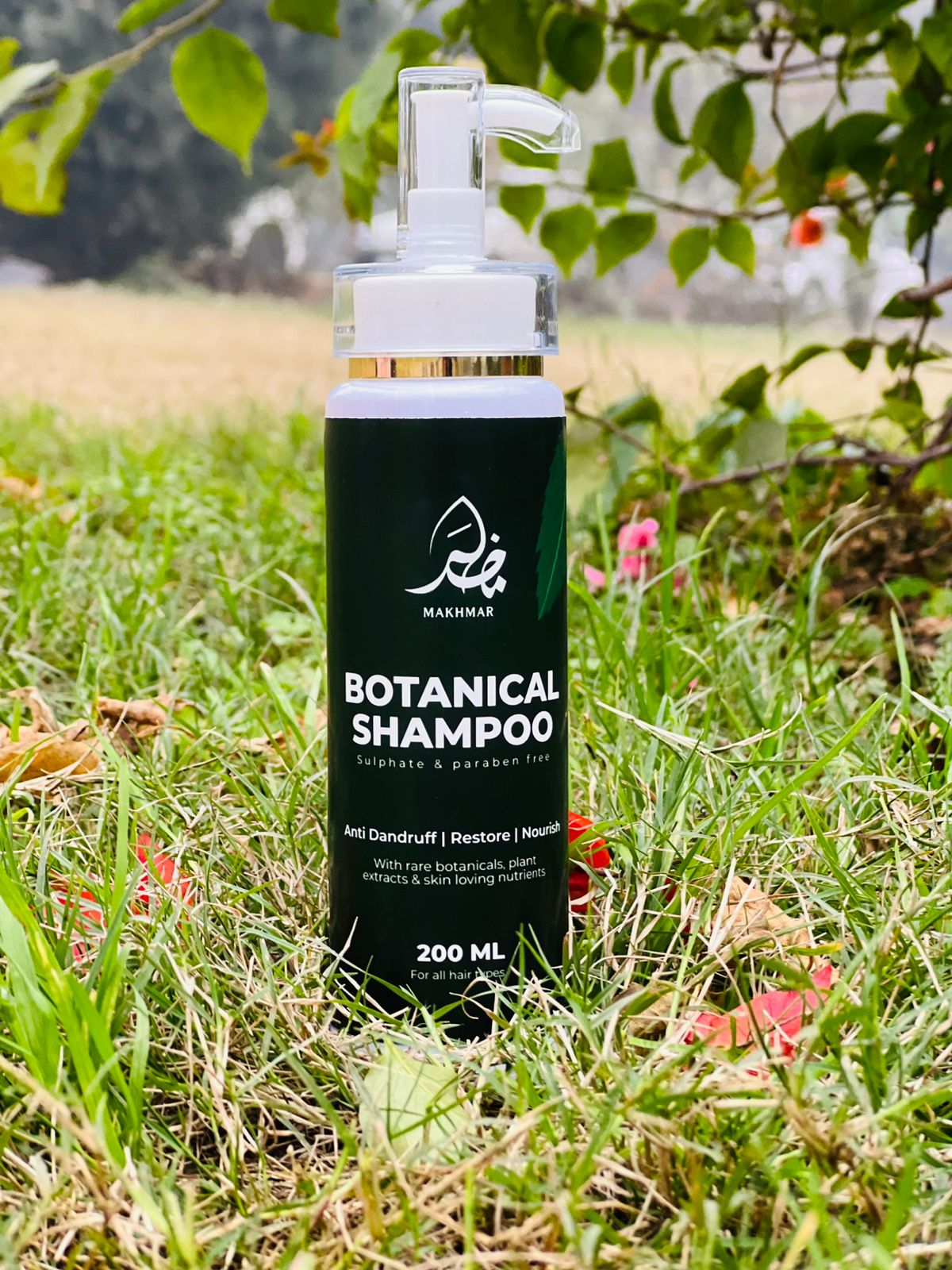 whatsapp image 2025 12 31 at 5.25.26 pm (1)